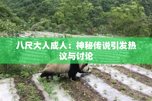 八尺大人成人：神秘传说引发热议与讨论