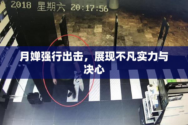 月婵强行出击，展现不凡实力与决心