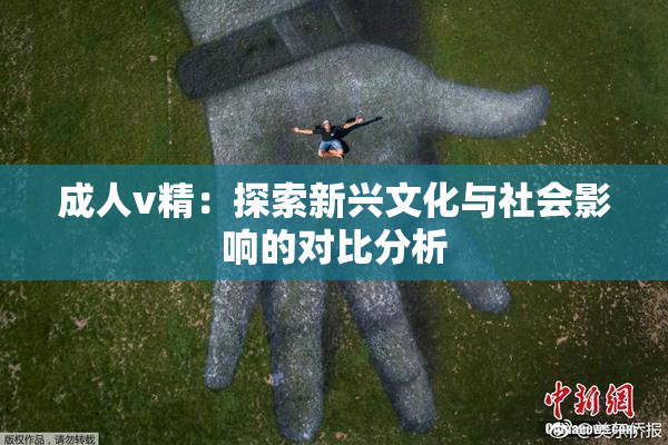 成人v精：探索新兴文化与社会影响的对比分析