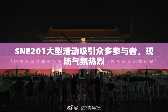 SNE201大型活动吸引众多参与者，现场气氛热烈