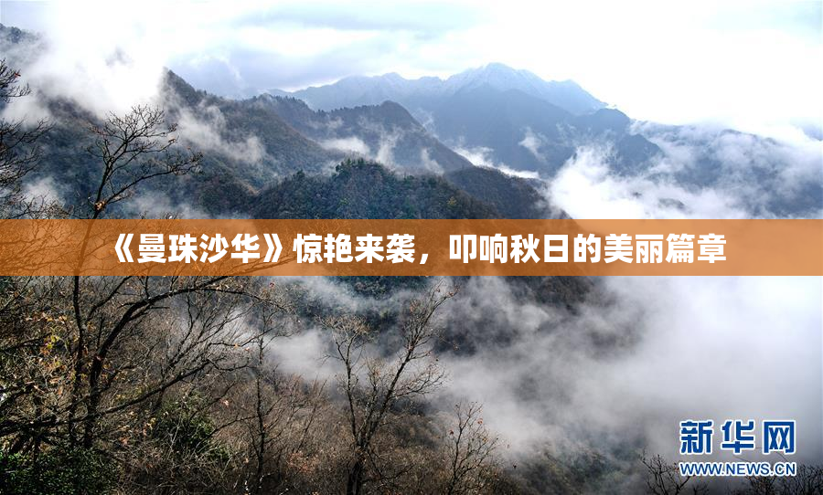 《曼珠沙华》惊艳来袭，叩响秋日的美丽篇章