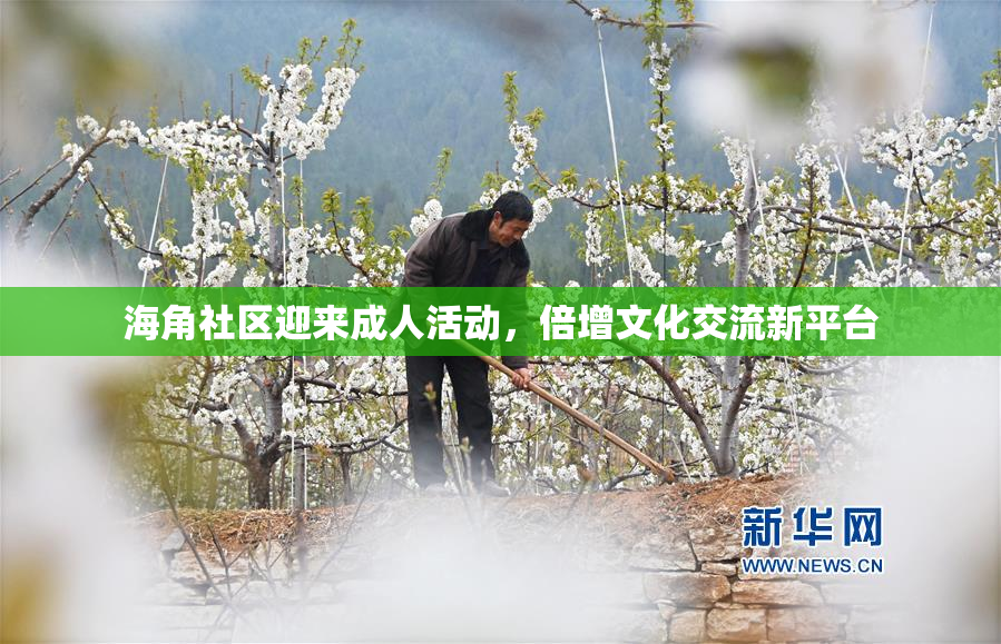 海角社区迎来成人活动，倍增文化交流新平台
