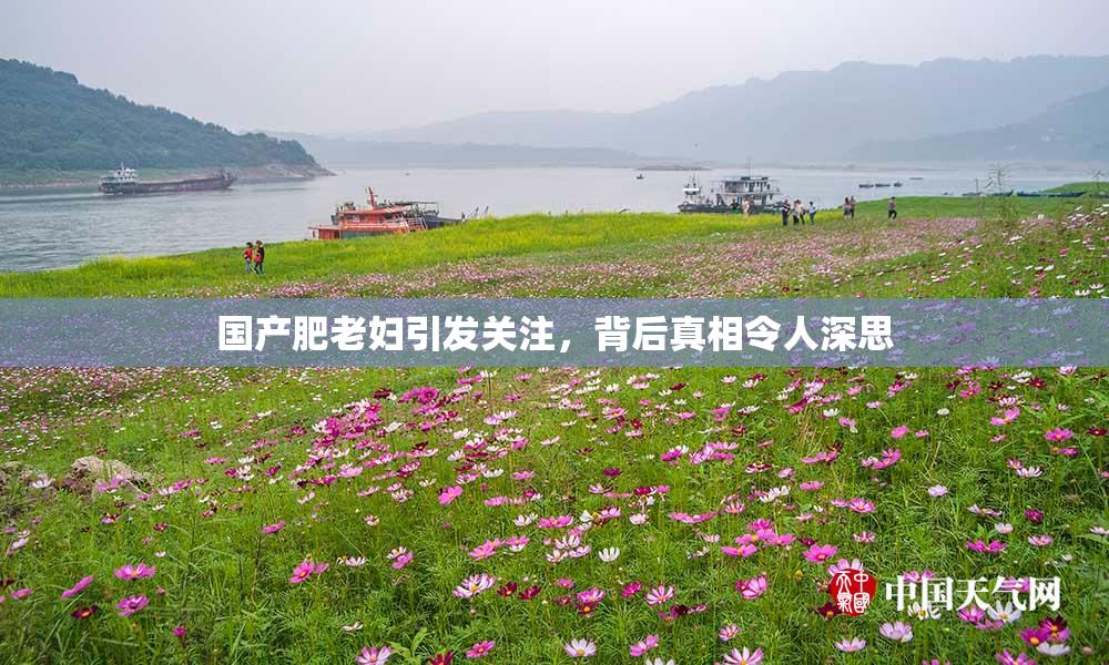 国产肥老妇引发关注，背后真相令人深思
