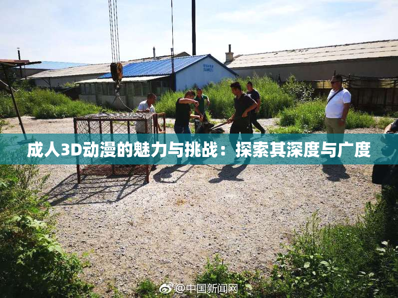 成人3D动漫的魅力与挑战：探索其深度与广度