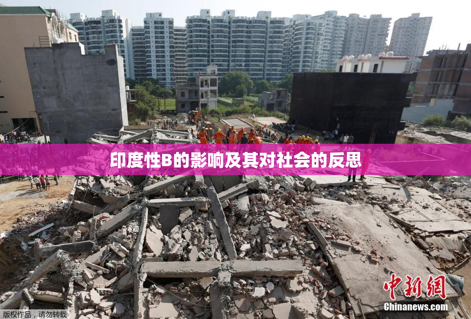 印度性B的影响及其对社会的反思