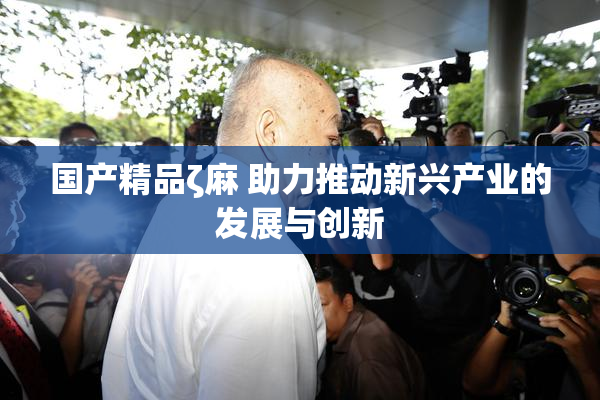 国产精品ζ麻 助力推动新兴产业的发展与创新