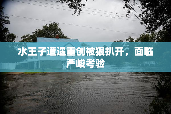 水王子遭遇重创被狠扒开，面临严峻考验