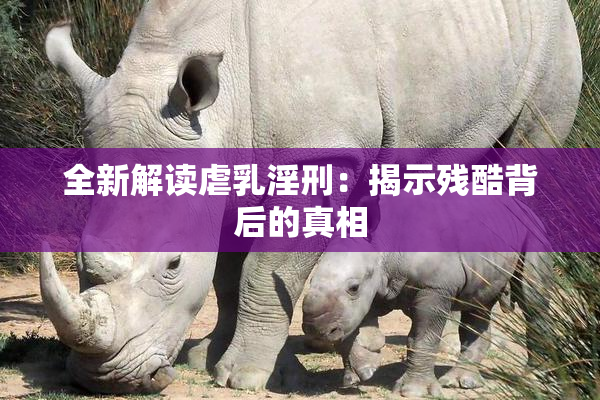 全新解读虐乳淫刑：揭示残酷背后的真相