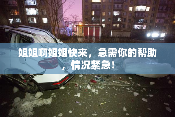 姐姐啊姐姐快来，急需你的帮助，情况紧急！