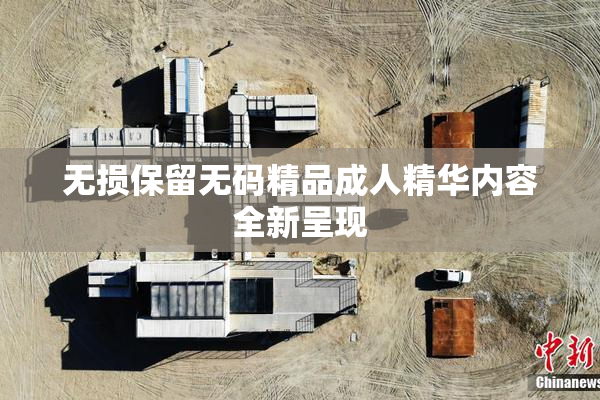 无损保留无码精品成人精华内容全新呈现