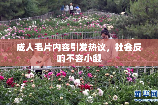 成人毛片内容引发热议，社会反响不容小觑