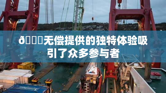 🔞无偿提供的独特体验吸引了众多参与者