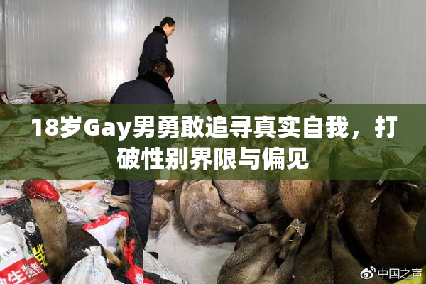 18岁Gay男勇敢追寻真实自我，打破性别界限与偏见