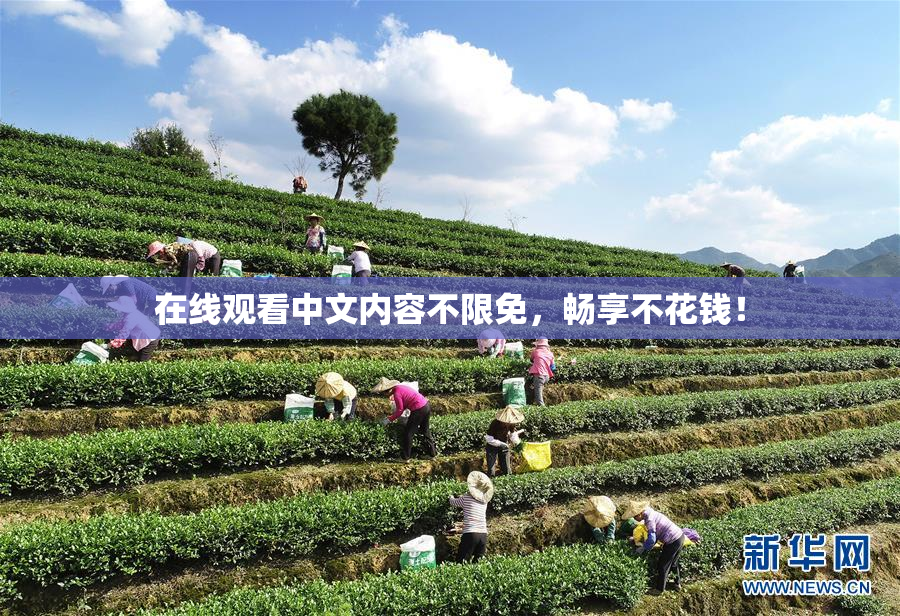 在线观看中文内容不限免，畅享不花钱！