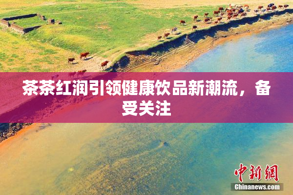 茶茶红润引领健康饮品新潮流，备受关注