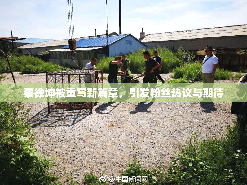 蔡徐坤被重写新篇章，引发粉丝热议与期待