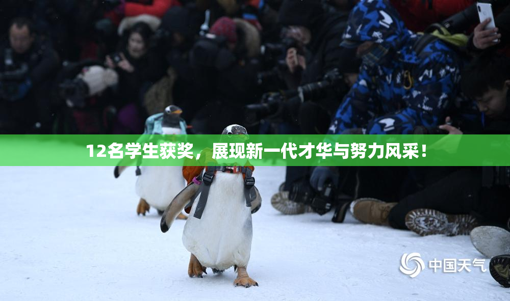 12名学生获奖，展现新一代才华与努力风采！