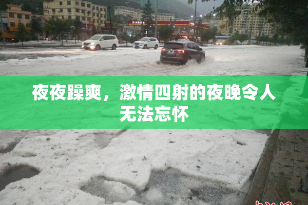 夜夜躁爽，激情四射的夜晚令人无法忘怀