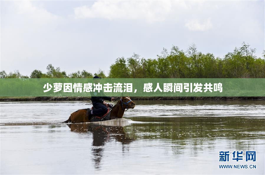 少萝因情感冲击流泪，感人瞬间引发共鸣