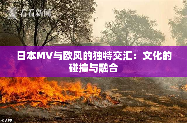 日本MV与欧风的独特交汇：文化的碰撞与融合