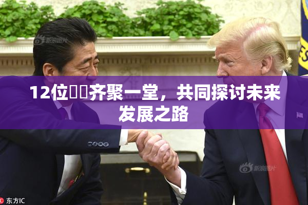 12位妺妺齐聚一堂，共同探讨未来发展之路