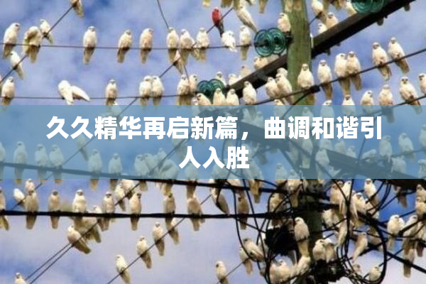 久久精华再启新篇，曲调和谐引人入胜