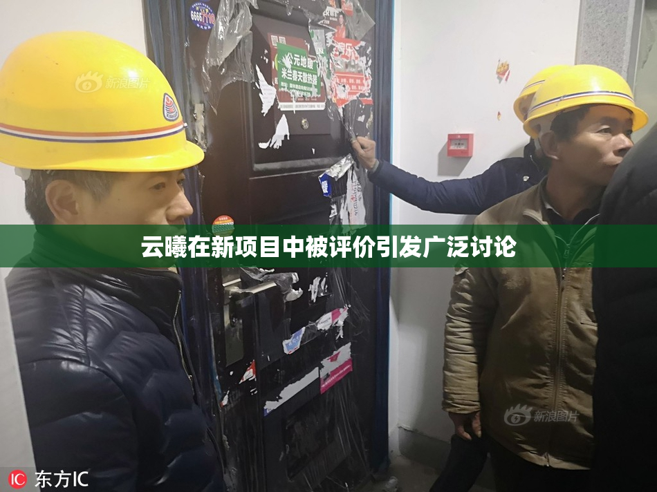 云曦在新项目中被评价引发广泛讨论