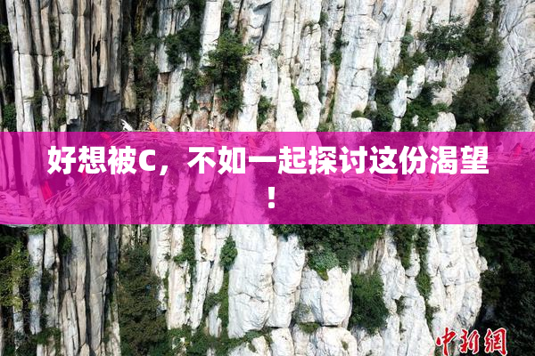 好想被C，不如一起探讨这份渴望！