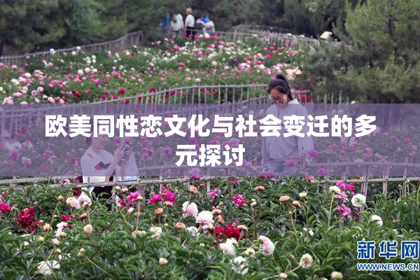 欧美同性恋文化与社会变迁的多元探讨