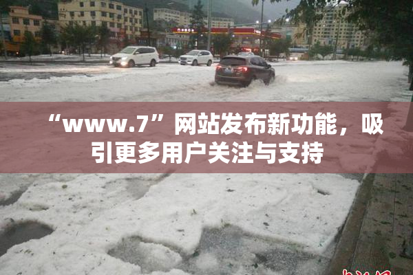 “www.7”网站发布新功能，吸引更多用户关注与支持
