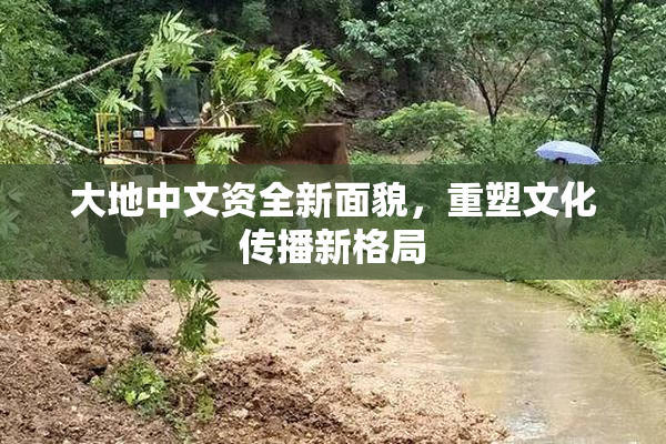 大地中文资全新面貌，重塑文化传播新格局