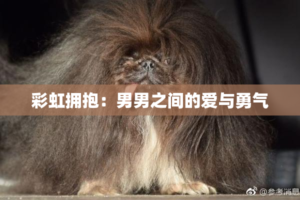 彩虹拥抱：男男之间的爱与勇气