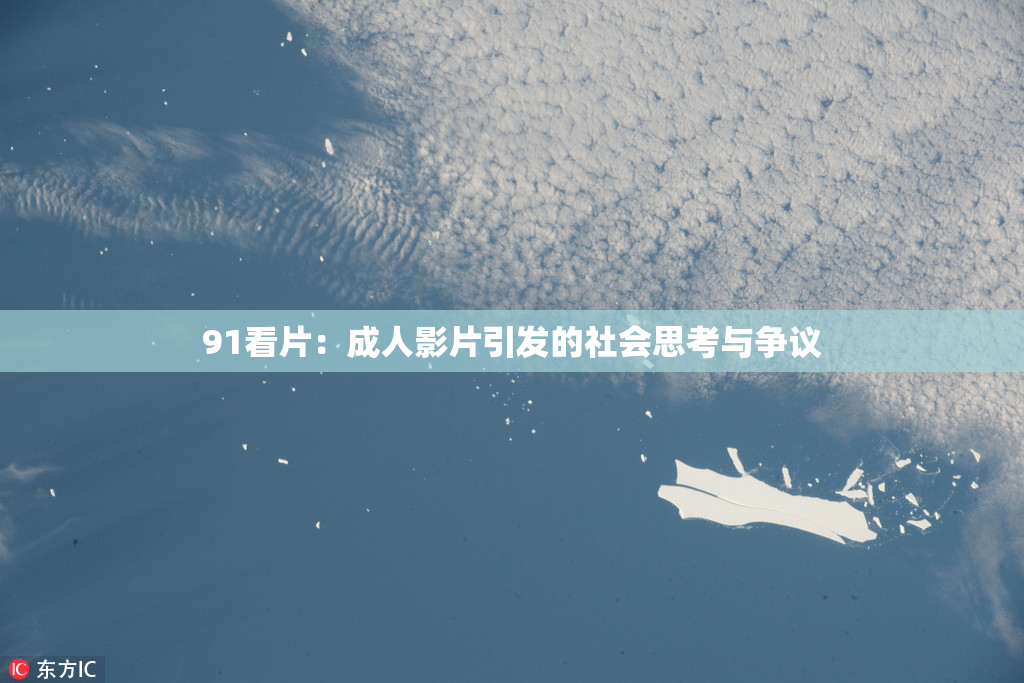 91看片：成人影片引发的社会思考与争议