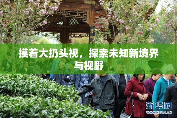摸着大扔头视，探索未知新境界与视野