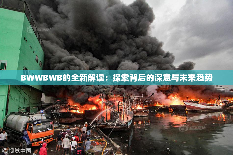 BWWBWB的全新解读：探索背后的深意与未来趋势