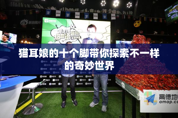 猫耳娘的十个脚带你探索不一样的奇妙世界