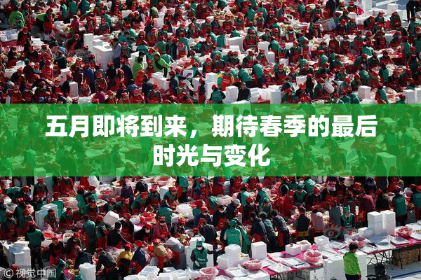 五月即将到来，期待春季的最后时光与变化