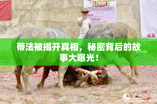 蒂法被揭开真相，秘密背后的故事大曝光！