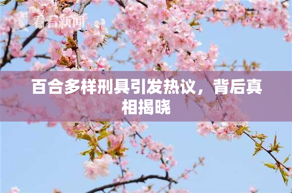 百合多样刑具引发热议，背后真相揭晓