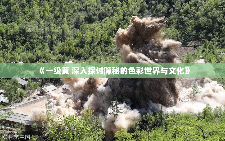 《一级黄 深入探讨隐秘的色彩世界与文化》