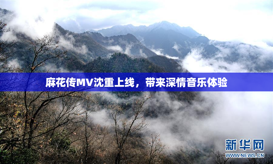 麻花传MV沈重上线，带来深情音乐体验