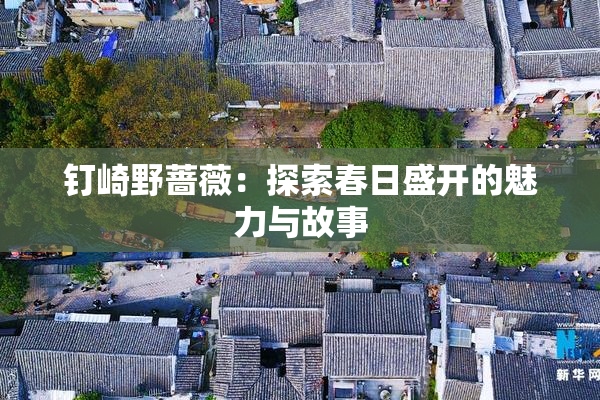 钉崎野蔷薇：探索春日盛开的魅力与故事