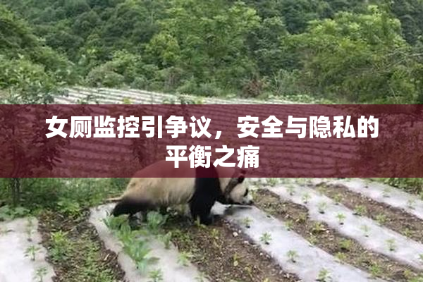 女厕监控引争议，安全与隐私的平衡之痛
