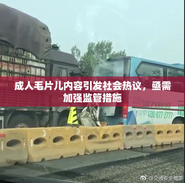 成人毛片儿内容引发社会热议，亟需加强监管措施