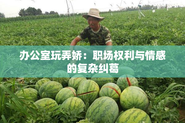 办公室玩弄娇：职场权利与情感的复杂纠葛
