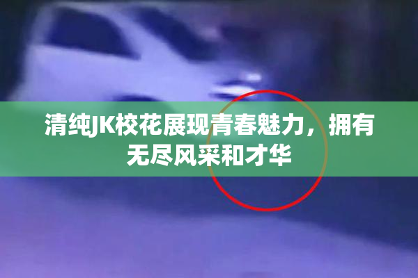 清纯JK校花展现青春魅力，拥有无尽风采和才华
