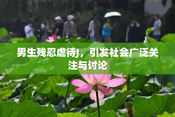 男生残忍虐待J，引发社会广泛关注与讨论