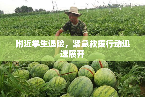 附近学生遇险，紧急救援行动迅速展开