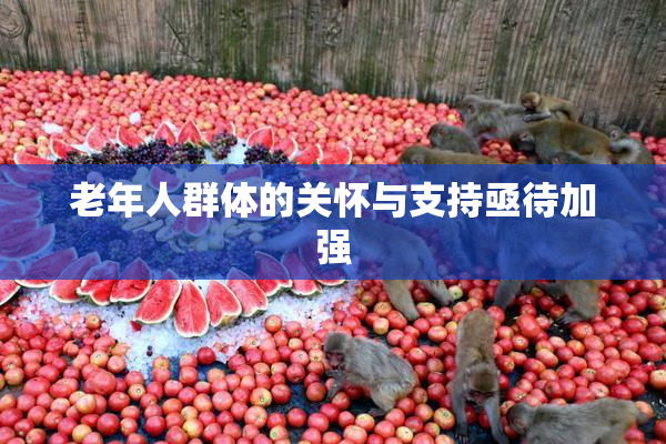 老年人群体的关怀与支持亟待加强