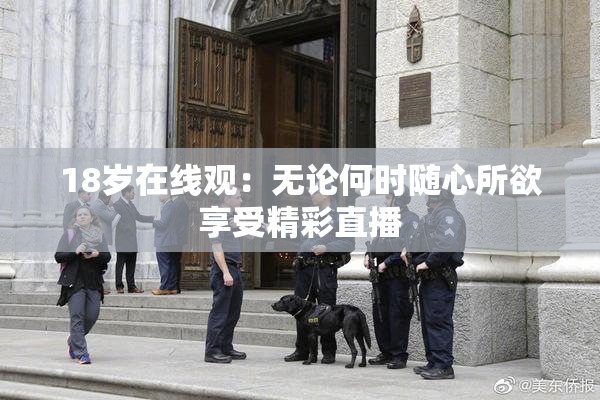 18岁在线观：无论何时随心所欲享受精彩直播